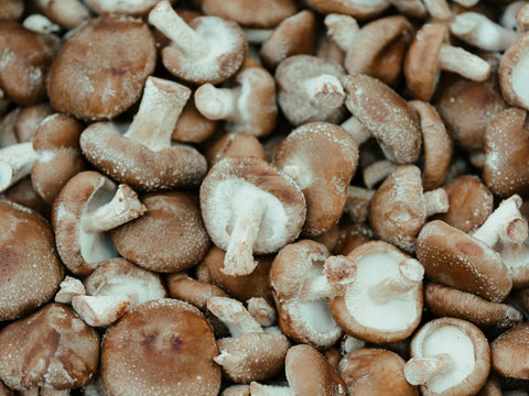 Shitake Mushrooms