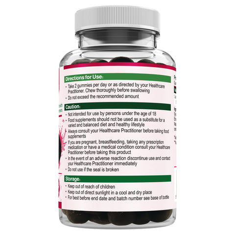 Lion's Mane Mushroom Gummies (60)